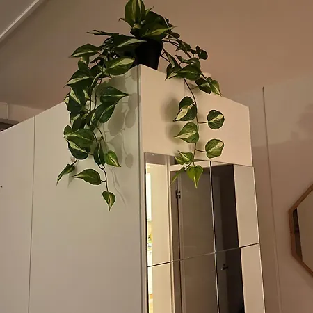 After Work Escape With Sauna And Balcony 公寓 约恩苏